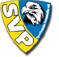 Spvgg Renningen e.V. Fußball