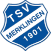 Spvgg Renningen e.V. Fußball
