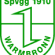 Spvgg Renningen e.V. Fußball